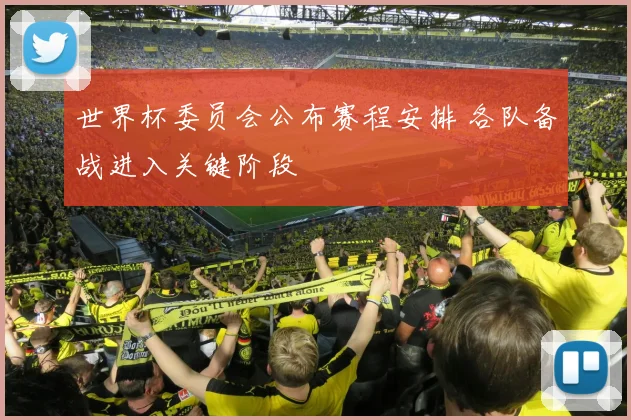 世界杯委员会公布赛程安排 各队备战进入关键阶段