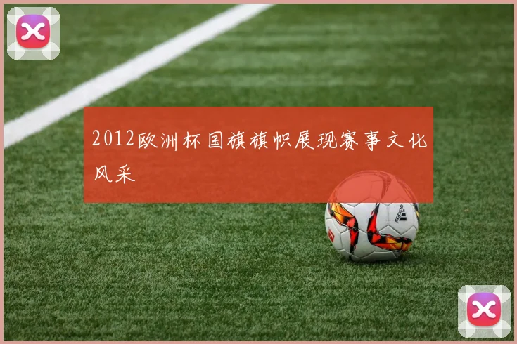 2012欧洲杯国旗旗帜展现赛事文化风采