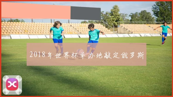 2018年世界杯举办地敲定俄罗斯