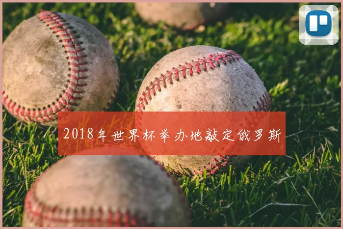 2018年世界杯举办地敲定俄罗斯