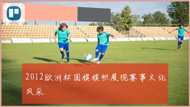2012欧洲杯国旗旗帜展现赛事文化风采