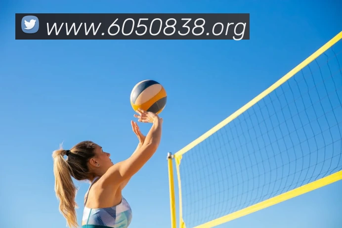 世界杯官方网络平台平台生态图